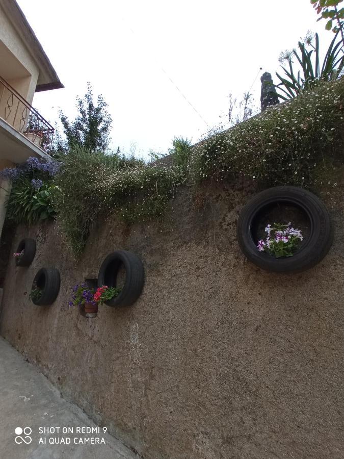 Casa Dos Grilos Penacova Exterior foto